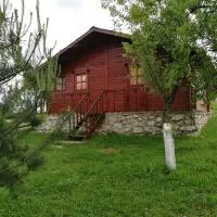 Pensiunea Gernik 100، فندق في Gârnic