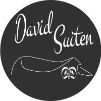 마우어테른도르프에 위치한 호텔 DAVID SUITEN