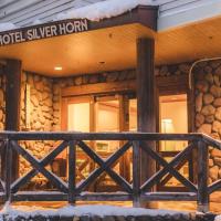 Silverhorn, hotel in Myoko