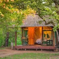 Shindzela Tented Camp, ξενοδοχείο σε Timbavati Game Reserve