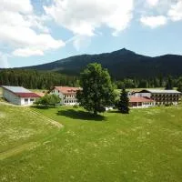 Osserhotel - B&B am Osser, hotel sa Lohberg