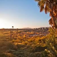 Palmwag Campsite, hotelli kohteessa Palm