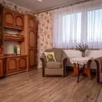 Agroturystyka Gawryś apartament، فندق في ساسينو