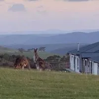 Rooks Edge, ξενοδοχείο σε Gisborne