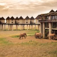Salt Lick Safari Lodge, hotel a Tsavo