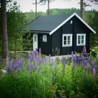 Fröya Timber Cottage: Arvika şehrinde bir otel