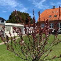 H. C. Lumbyes Vej - kælderlejlighed, hotel cerca de Aeropuerto de Odense - ODE, Odense