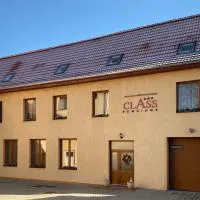 Pensiunea Class, hotelli kohteessa Sălişte