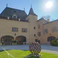 Château de la Venerie: Denicé şehrinde bir otel