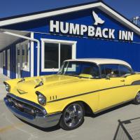 Humpback Inn, отель рядом с аэропортом Port Hardy Airport - YZT в городе Порт Макнейлл