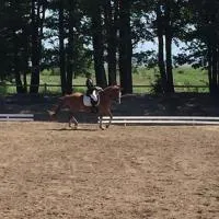 Sassi Talu Horsefarm, hotel v mestu Parnumaa