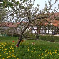 Pension Töpferhof, hotel in Bad Berka