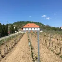 Somló Kolonics Kúria – hotel w mieście Somlóvásárhely