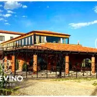 Mtevino, hotel Khashmi városában