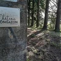 Château de Mongazon، فندق في Saint-Franchy
