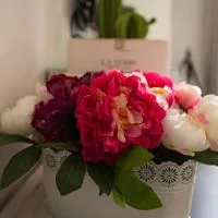 Hotel Scigliano, hotel a Rossano