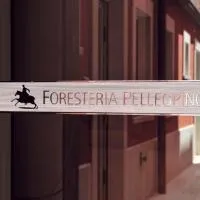 Foresteria Pellegrino、アンドリアのホテル