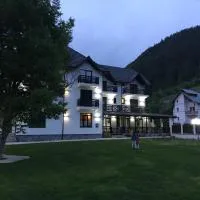 Pensiunea Edelweiss, khách sạn ở Voineasa