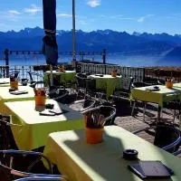 Hotel Restaurant Alpina, ξενοδοχείο σε Rigi Kaltbad