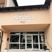 Penzion Adriana، فندق في نوفى ميستو ناد فاهوم