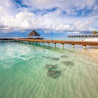 Sun Siyam Vilu Reef, hotel in Dhaalu Atoll