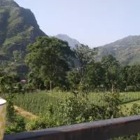 Yellow Valley Homestay, hotel a Solan