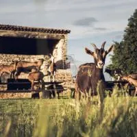 Le Domaine du Castellas, hotel u gradu Sivergues