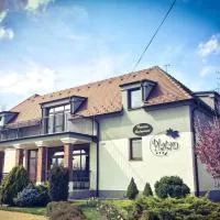 Penzion Platan, hotel u gradu Ňárad