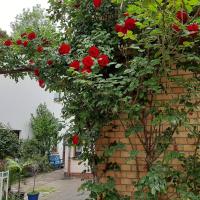 Fewo Rosenblüte am Stadtpark