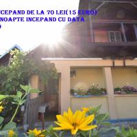 Casa Traditionala Ardeleana, hotel cerca de Aeropuerto internacional de Satu Mare - SUJ, Mădăras