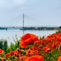 Amira Apartman, хотел в Комарно