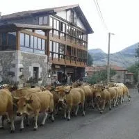 Posada el Mirador, viešbutis mieste Lavín