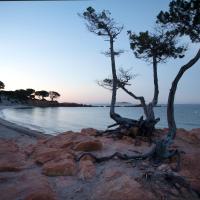 R&eacute;sidence U LATONU - Palombaggia، فندق في بورتو فيكيو