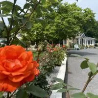 copperfield house、キャッシェルのホテル