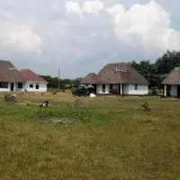 Edward Lake Retreat and Campsite, Kisenyi Village, hotel Kisenyi városában