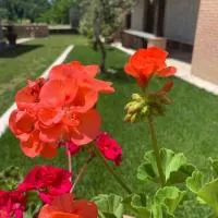 La collina su Ascoli, hotelli kohteessa Ascoli Piceno