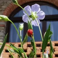 Agriturismo Mondo, ξενοδοχείο σε Bubbio