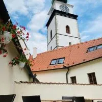 Demaris, viešbutis mieste Tršebyčius