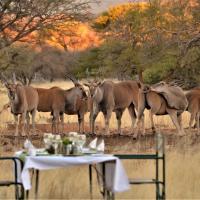 Ohange Namibia Lodge, hotel in Otavi