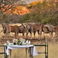 Ohange Namibia Lodge, hotell sihtkohas Otavi