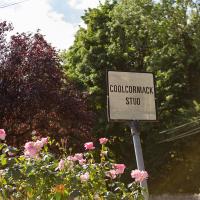 Coolcormack Stud B&B