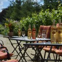 Penzion v rodinném vinařství Kadubcovi, hotel v destinaci Lipov