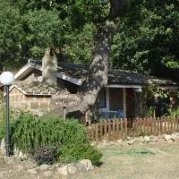 Azienda Agricola Biologica La Cardellina, khách sạn ở Tolfa