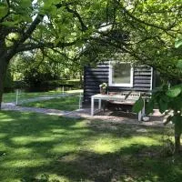 IJSSELMEER Lake houses, hotel di Andijk