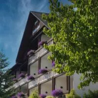 Landhotel Henkenhof Willingen, hotel in Willingen