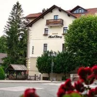 Hotel Bitoraj Fužine, hotel u gradu Fužine