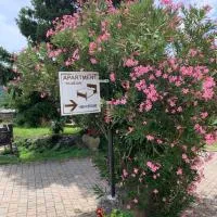 Apartmaji Klabjan - Kaki, hotel u gradu 'Osp'