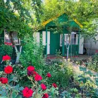 Novaya Dacha, hotel v mestu Kurortne