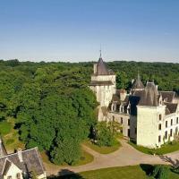 an aerial view of an old castle with trees at Château de Ternay
