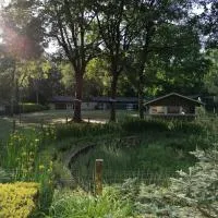 Waldjugendherberge Uelsen, hotel a Uelsen